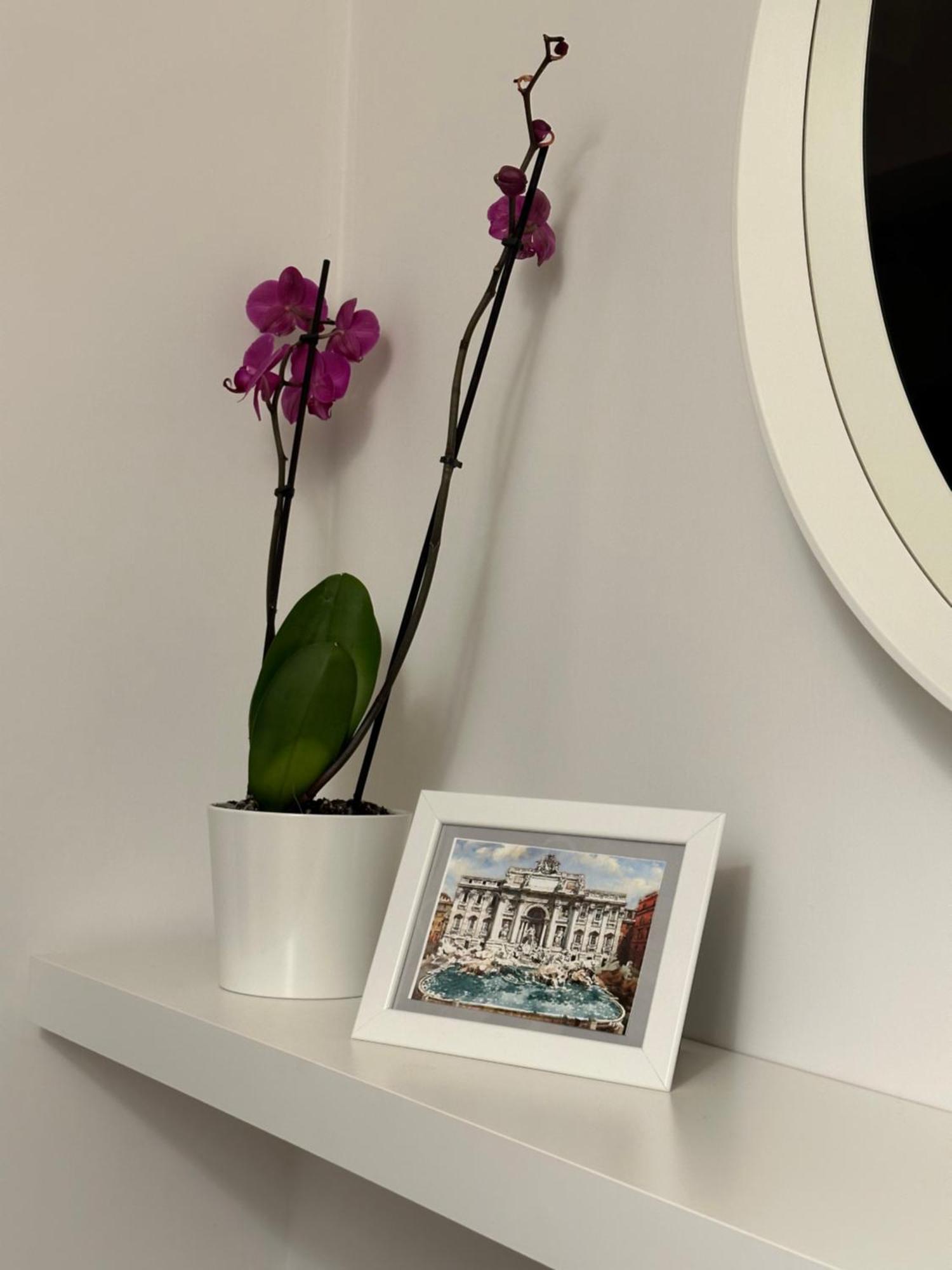 Trithome Suite Boutique Barberini Róma Kültér fotó